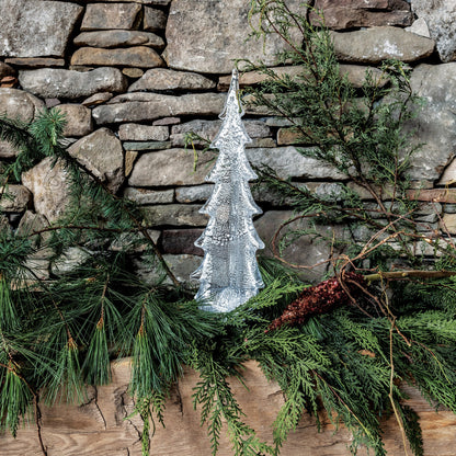 Silver Leaf Evergreen