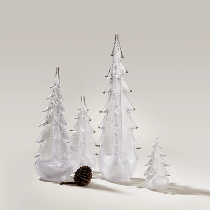 Silver Leaf Evergreen