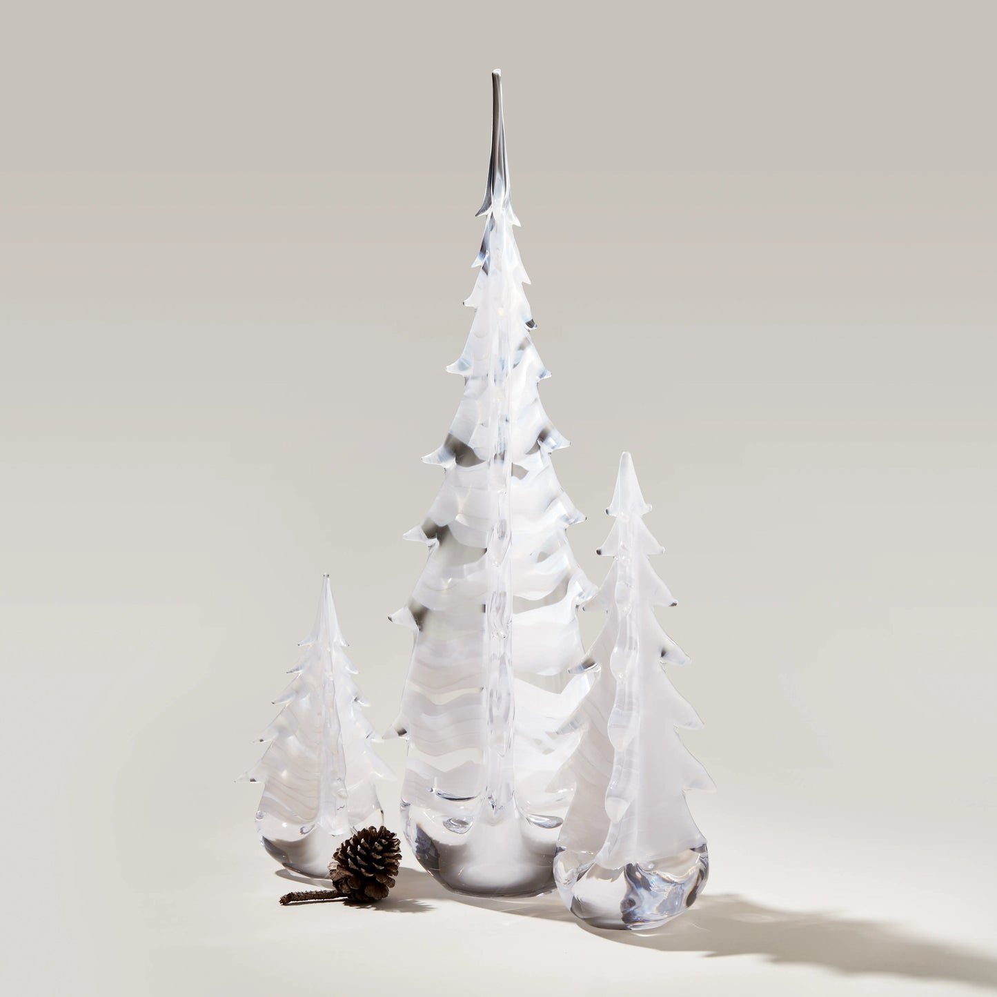 Snowdrift Evergreen in Gift Box