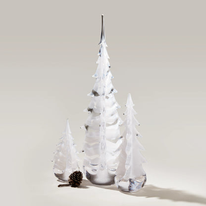 Snowdrift Evergreen in Gift Box