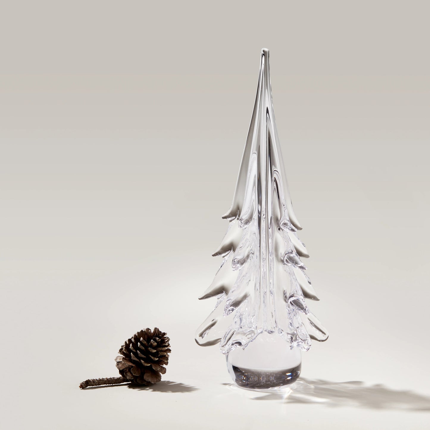 Spruce Evergreen
