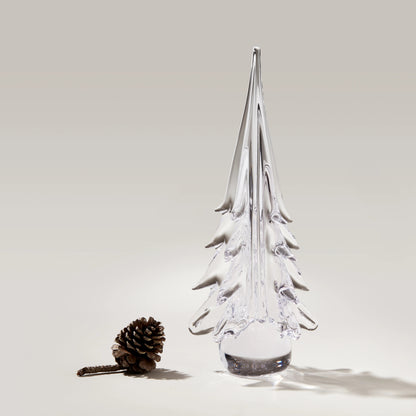Spruce Evergreen