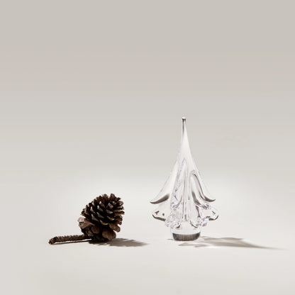 Spruce Evergreen
