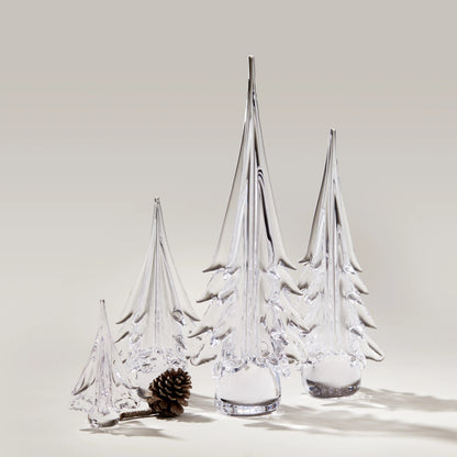 Spruce Evergreen