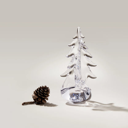 Vermont Twist Evergreen in Gift Box