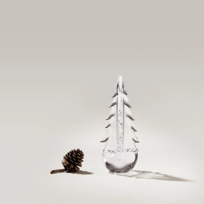 Vermont Evergreen in Gift Box