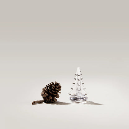 Vermont Evergreen in Gift Box