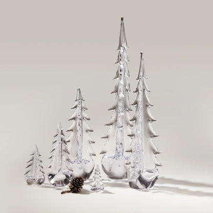 Vermont Evergreen in Gift Box
